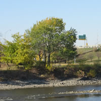 Cedar River Photo